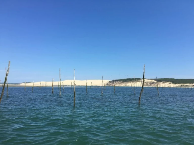 Alquiler de Lancha, con o sin patrón Bénéteau Arcachon