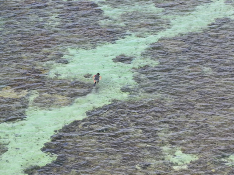 Fountaine Pajot Bahia 46 de alquiler a Nouméa