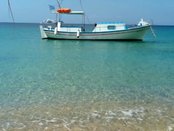 Alquiler de Traditional Traditional en Ornós