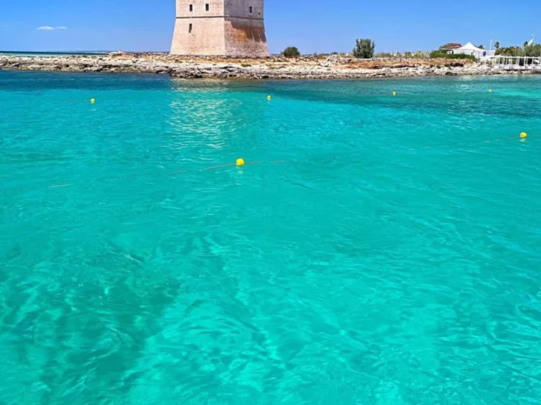 Alquiler de embarcaciones Enterprise Marine 46 FLY BRIDGE enPorto Cesareo en Samboat