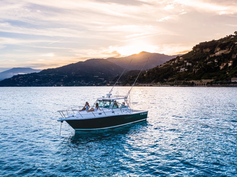 Alquiler Lancha PURSUIT  con o sin  título de navegación