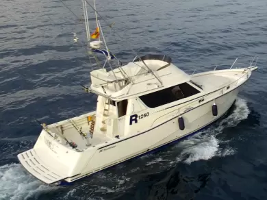 Alquiler de Lancha, con o sin patrón Rodman Marbella