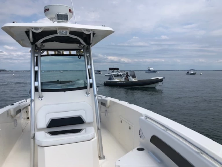 Alquiler Lancha en Piraillan - Wellcraft Scarab 30 Open