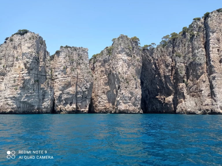 Alquiler Lancha bimax con o sin  título de navegación