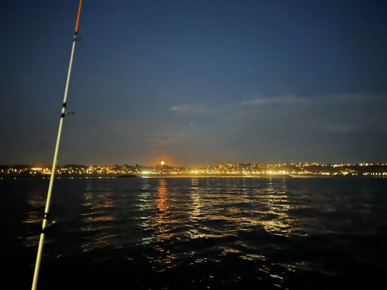 Alquiler Lancha en Bayonne - Ultramar Ultra 515 Open