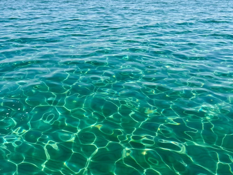 Alquiler Lancha Sea Ray con o sin  título de navegación