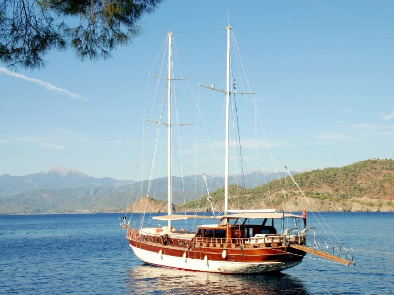 Alquiler Velero  con o sin  título de navegación