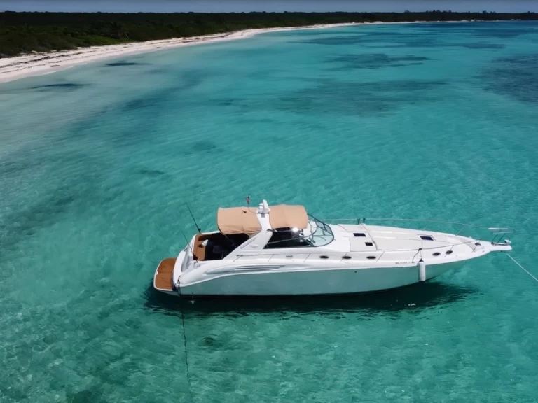 Alquiler Lancha en Tulum - Sea Ray Sea Ray 450 Sundancer