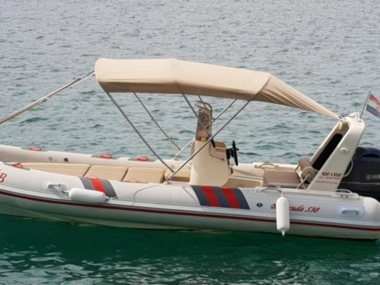 Alquiler Neumática Barracuda con o sin  título de navegación