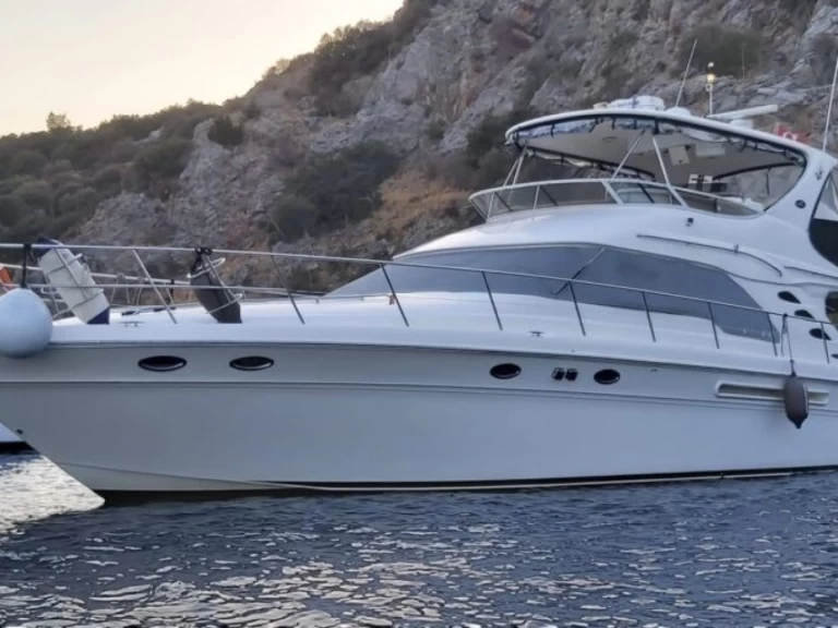 Alquiler de Sea Ray Sundancer 265 en Bodrum