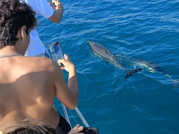 Velero para alquilar Fuengirola al mejor precio