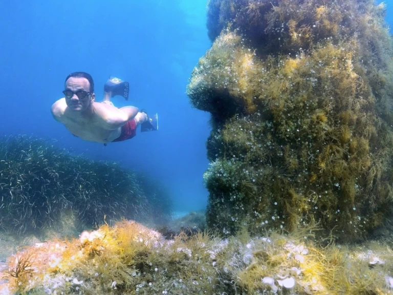 Alquiler de embarcaciones Karnic SL 800 enCannes en Samboat