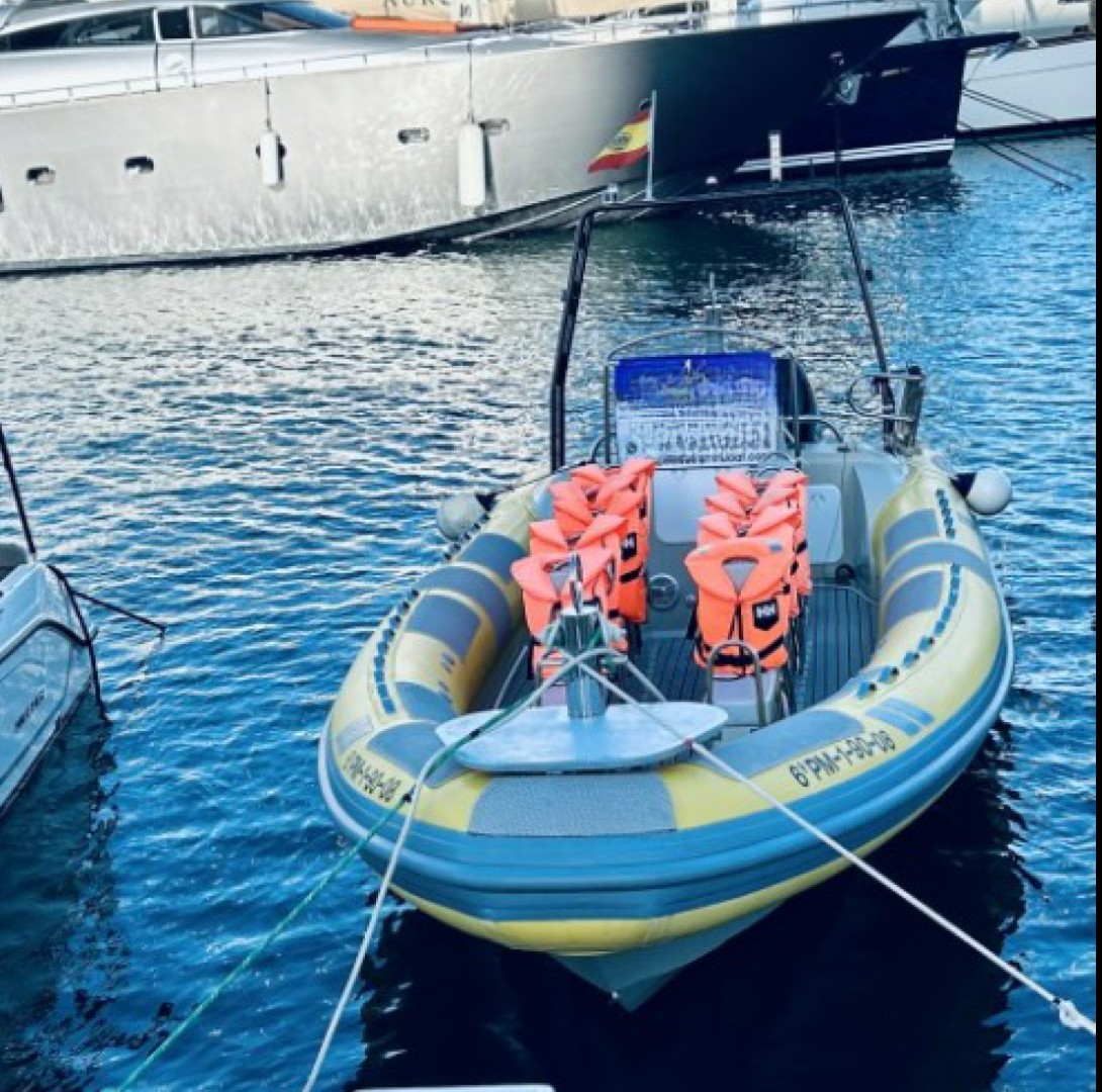 SPEED DOLPHIN BOAT
