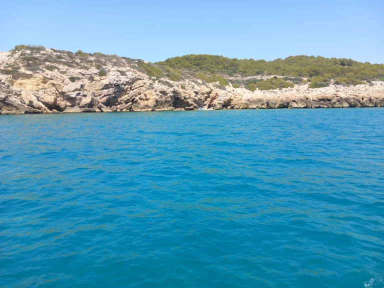 Alquiler Vilanova i la Geltrú - Four Winns Horizon 210 en SamBoat