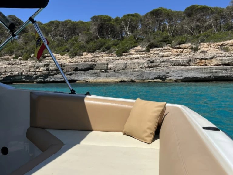 Alquiler Lancha Wellcraft con o sin  título de navegación
