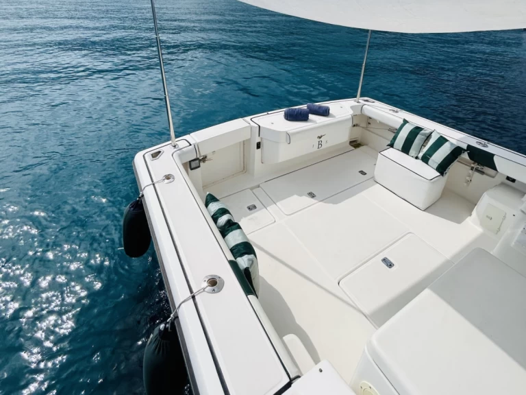 Alquiler Lancha PURSUIT  con o sin  título de navegación