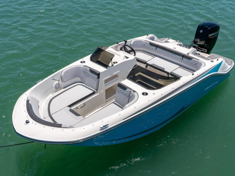 Alquiler de Bayliner M17 en Aix-les-Bains