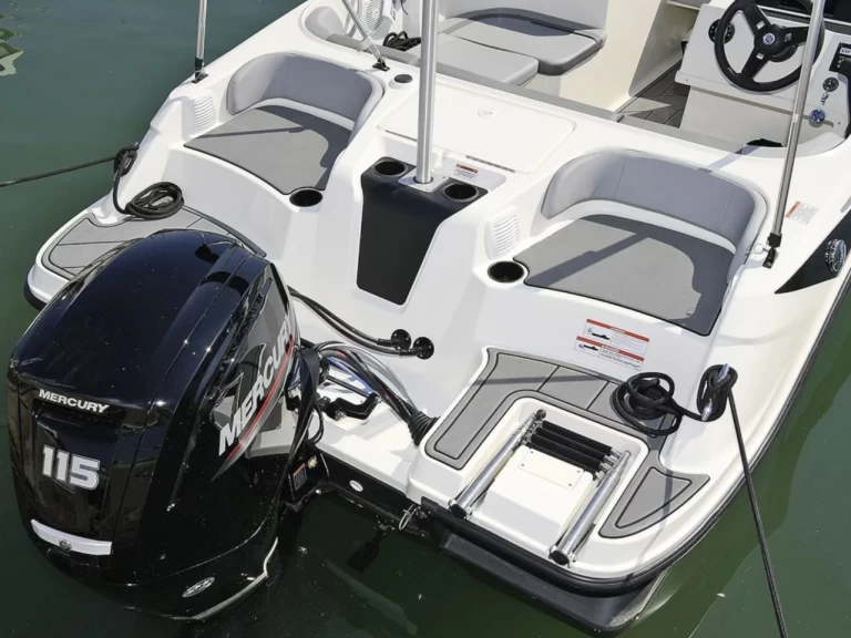 Alquiler de embarcaciones Bayliner M17 enAix-les-Bains en Samboat