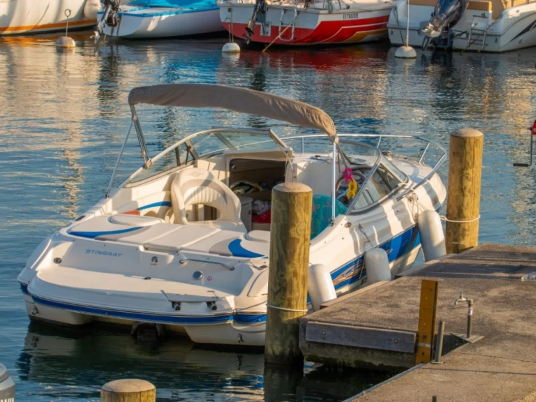 Alquiler de Lancha, con o sin patrón Stingray Ginebra (District)
