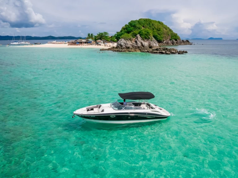 Alquiler Lancha Four Winns con o sin  título de navegación