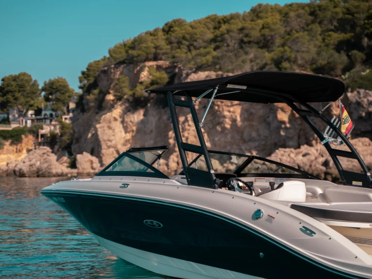 Alquiler Lancha Sea Ray con o sin  título de navegación