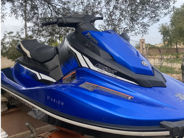 Alquiler de barcos Portals Nous barato de Ex