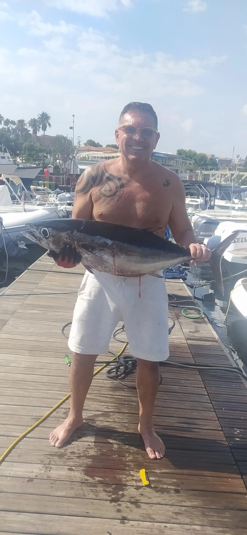 Alquiler de embarcaciones Sealine Ambassador 360 enOgnina - Picanello - Barriera - Canalicchio en Samboat