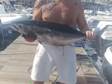 Alquiler de embarcaciones Sealine Ambassador 360 enOgnina - Picanello - Barriera - Canalicchio en Samboat