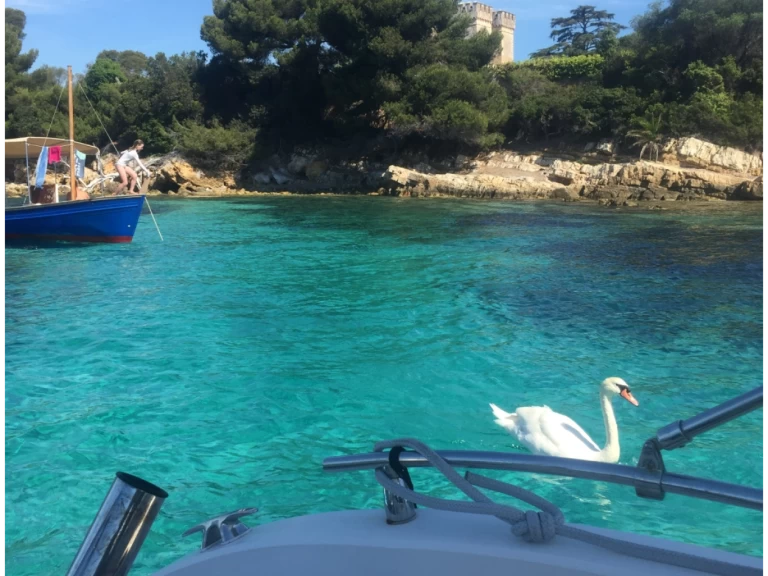 Chris Craft Sea Hawk 213 de alquiler a Cannes