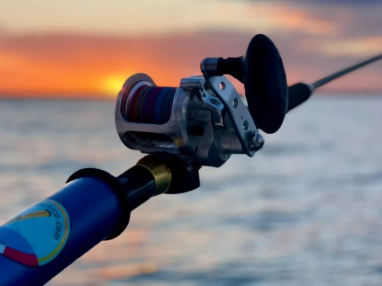 Alquiler de Neumática, con o sin patrón Perondi Porto Cesareo (Puerto)