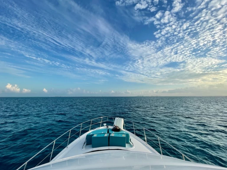 Alquiler Yate de lujo Sea Ray con o sin  título de navegación