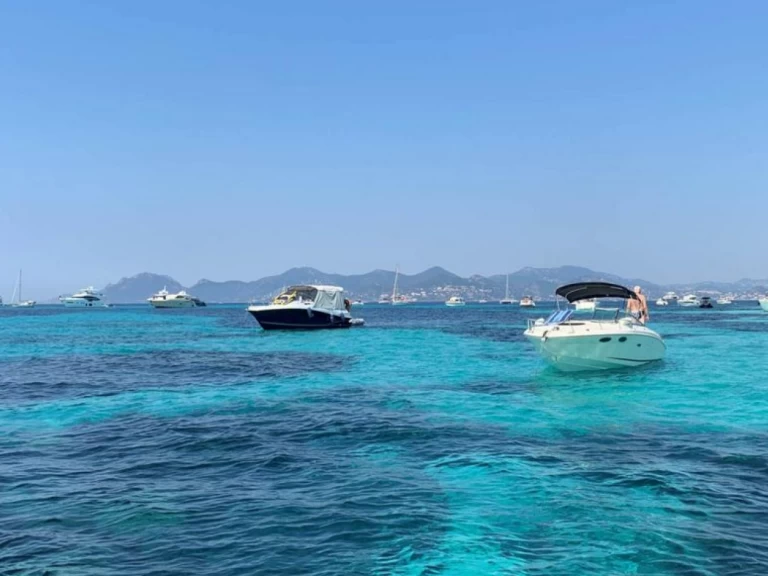 Alquiler Lancha Quicksilver con o sin  título de navegación