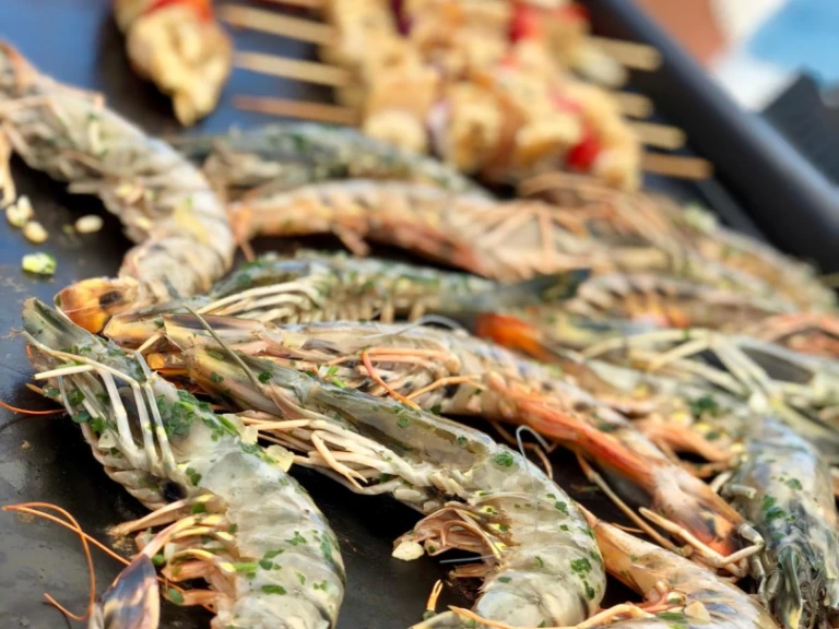 Alquiler Catamarán Plan-Caroff con o sin  título de navegación