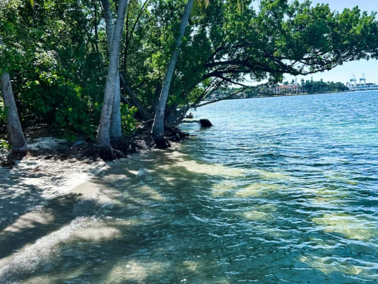 Sea Ray Sea Ray 270 Sundeck Outboard de alquiler a Miami