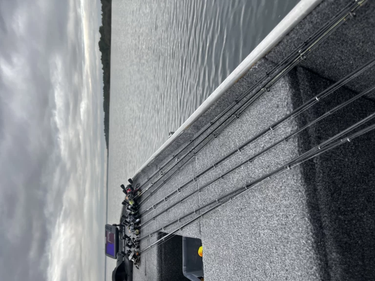 Alquiler Lancha La Maltiere con o sin  título de navegación