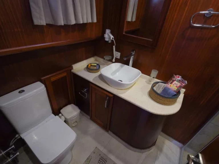 Alquiler Velero  con o sin  título de navegación