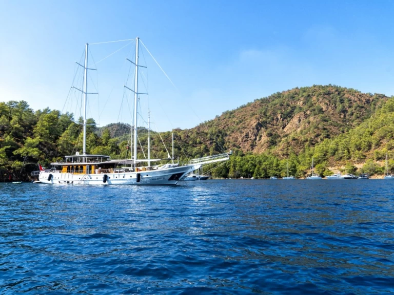 Alquiler Velero Custom Made con o sin  título de navegación