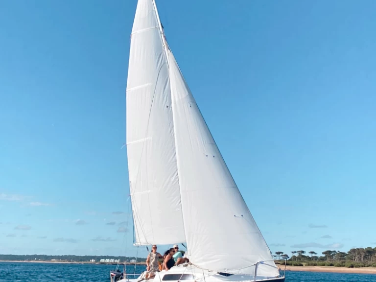 Alquiler de Velero, con o sin patrón Ezcurra Punta del Este