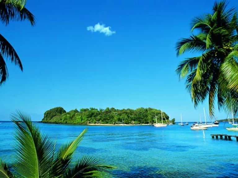 Alquiler Fort-de-France - Tortarollo Sloop one design en SamBoat