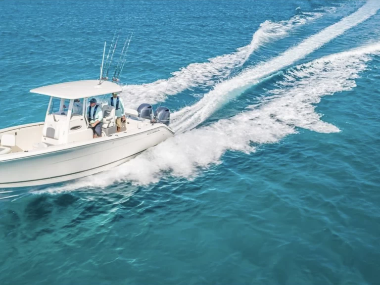 Cobia 28 de alquiler a Nanny Cay