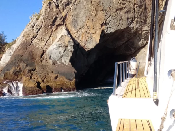 Lancha para alquilar Armação dos Búzios al mejor precio