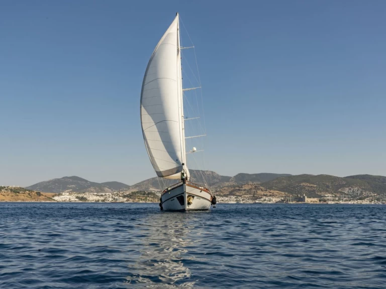 Alquiler Velero Custom Made con o sin  título de navegación