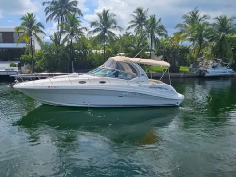 Sea Ray Sea Ray 340 Sundancer de alquiler a Miami