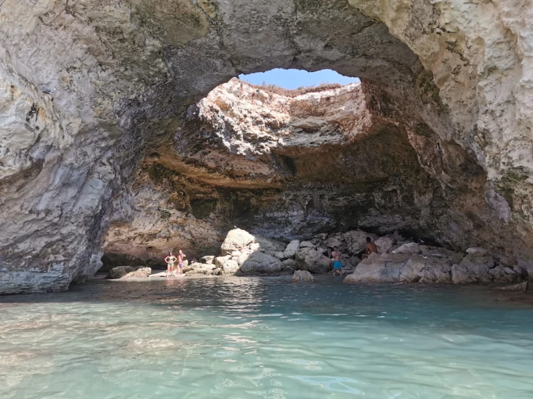 Pasca dolphin 25 de alquiler a Otranto