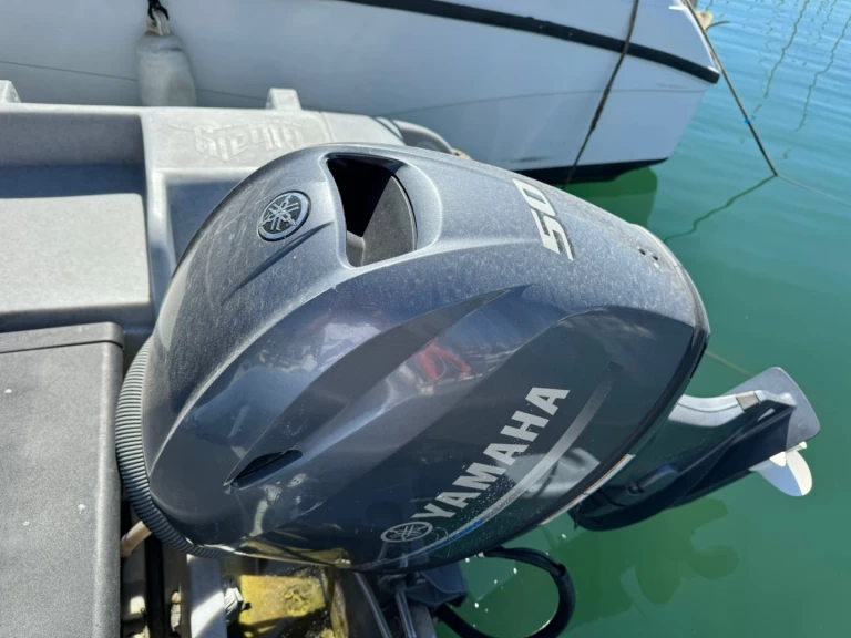 Alquiler Neumática Whaly con o sin  título de navegación