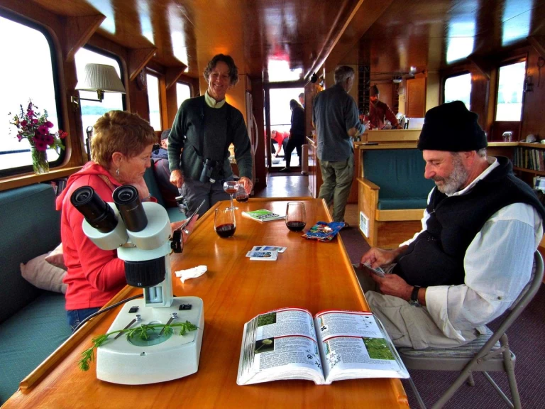 Yate de lujo para alquilar San Juan Islands al mejor precio