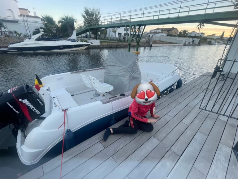 Alquiler Lancha Quicksilver con o sin  título de navegación