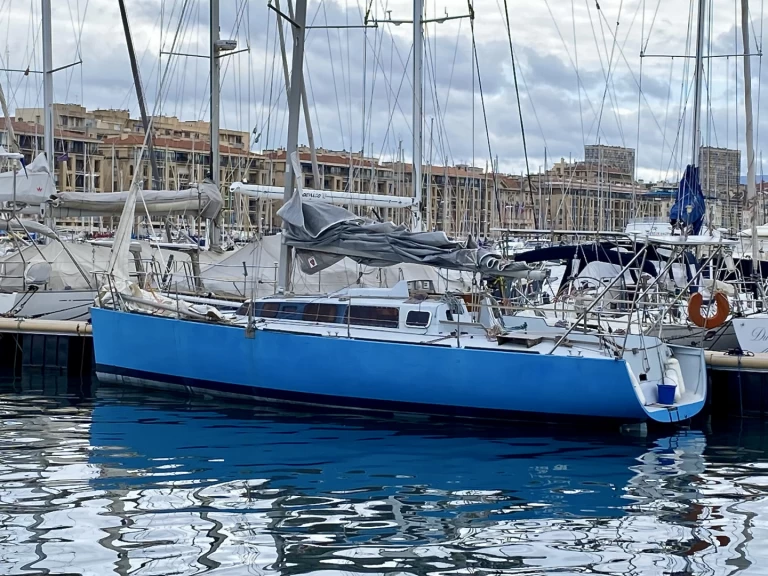 Alquiler Velero scotto con o sin  título de navegación