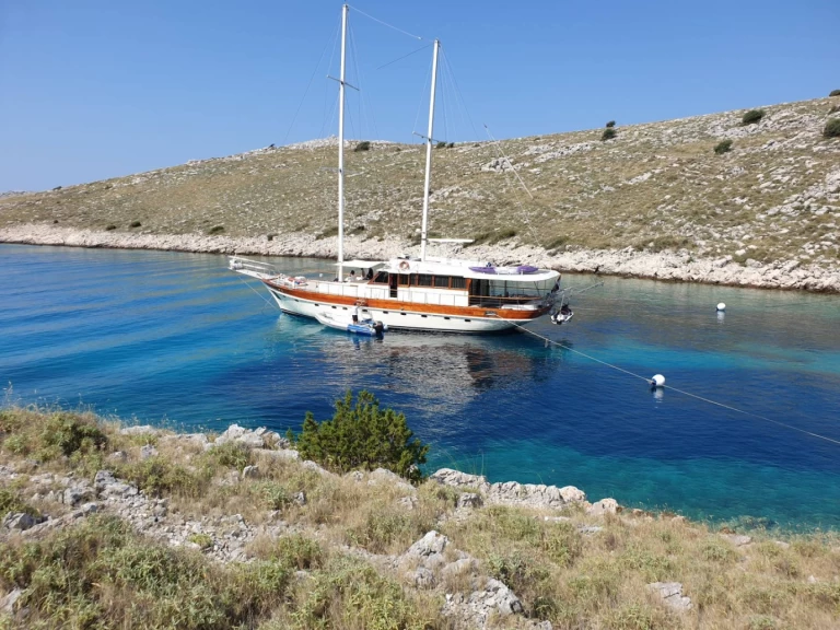 Alquiler de Velero, con o sin patrón Custom Made Split