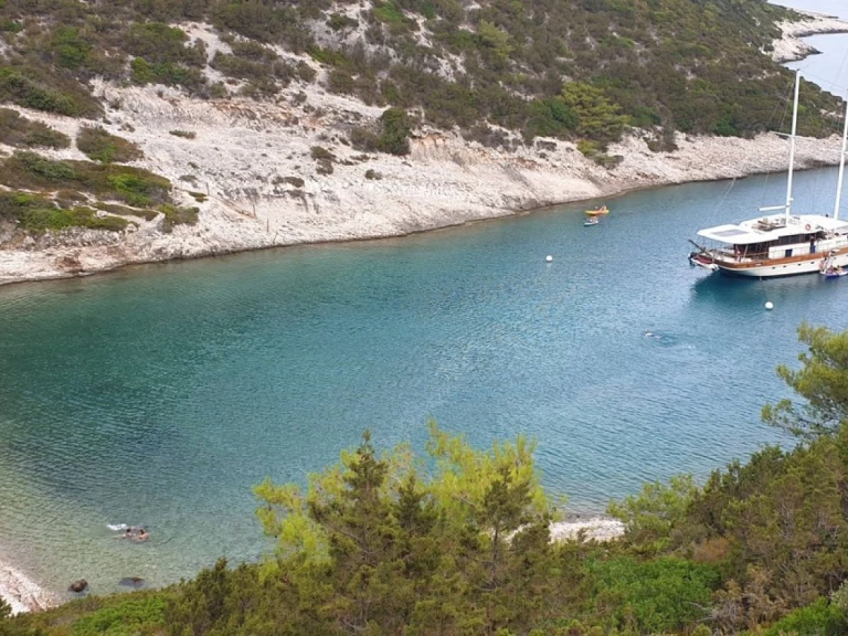 Custom Made Vito de alquiler a Split